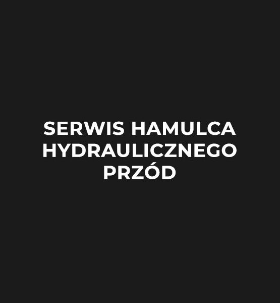 serwis-hamulca-hydralicznego-przod