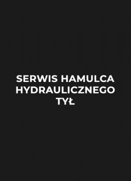 serwis-hamulca-hydralicznego-tyl