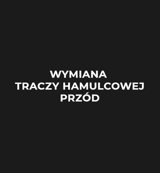 wymiana-tarczy-hamulcowej-przod