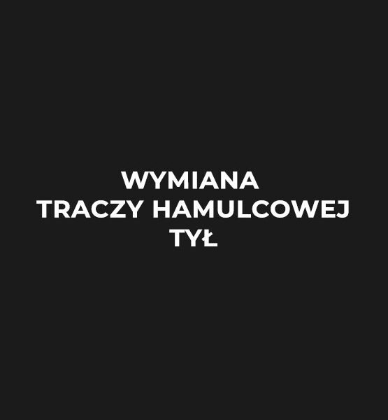 wymiana-tarczy-hamulcowej-tyl