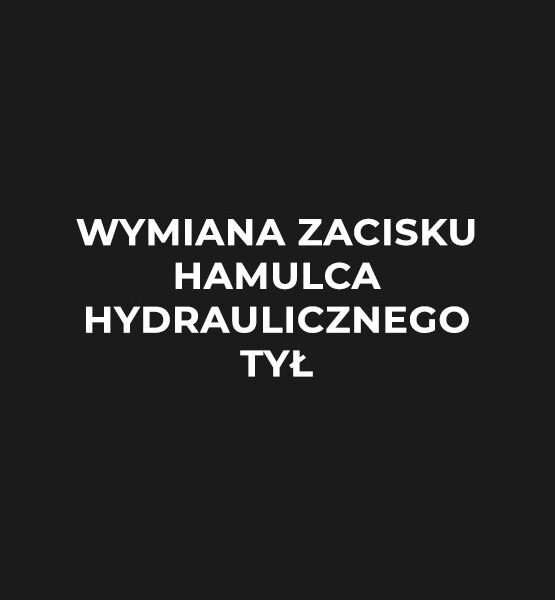 wymiana-zacisku-hamulca-hydraulicznego-tyl